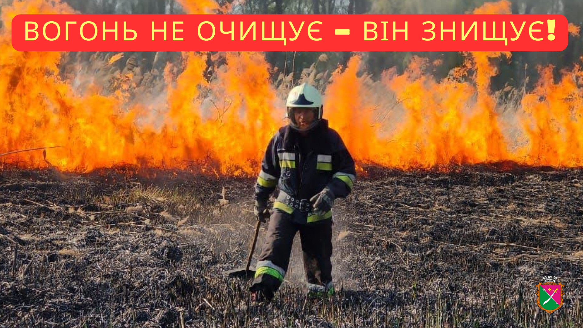 Фотографія